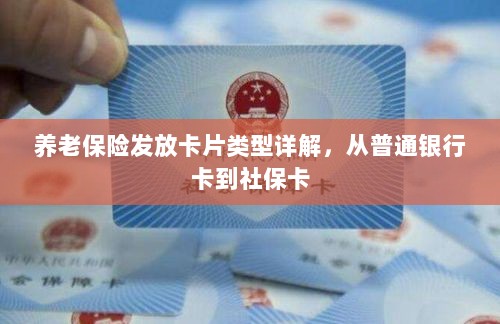 养老保险发放卡片类型详解,从普通银行卡到社保卡全面介绍-图1 养老保险发放卡片类型详解,从普通银行卡到社保卡全面介绍-图1