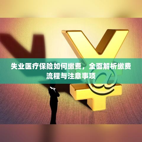 全面解析失业医疗保险缴费流程与注意事项-图1 全面解析失业医疗保险缴费流程与注意事项-图1