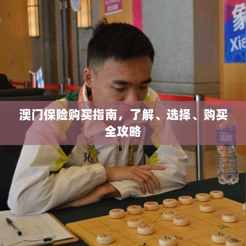 澳门保险购买全攻略，了解、选择与购买指南-图1