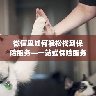 微信内轻松获取一站式保险服务指南,如何找到保险服务?-图1 微信内轻松获取一站式保险服务指南,如何找到保险服务?-图1