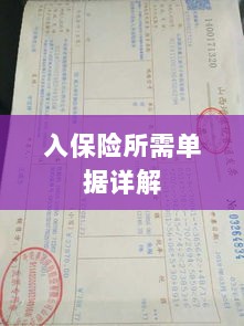 入保险必备单据解析-图1
