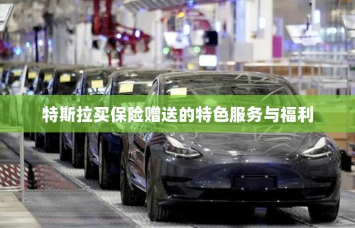特斯拉保险特惠，独家特色服务与丰厚赠品等你来享-图1