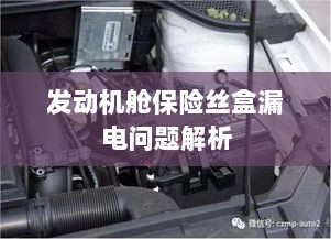 发动机舱保险丝盒漏电问题深度解析-图1 发动机舱保险丝盒漏电问题深度解析-图1