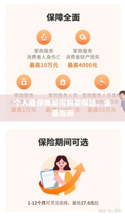 个人雇保姆保险购买指南，全面解析与攻略-图1