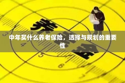 中年养老保险的选择与规划,关键性与策略探讨-图1 中年养老保险的选择与规划,关键性与策略探讨-图1