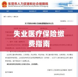 失业医疗保险缴费详解，一站式指南-图1