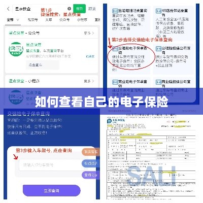 如何查看个人电子保险保单详情-图1 如何查看个人电子保险保单详情-图1