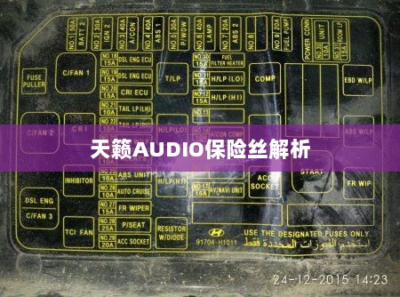 天籁AUDIO保险丝详解-图1