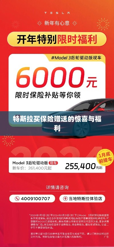 特斯拉保险购买赠品与惊喜福利概述-图1