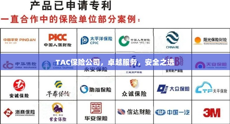 TAC保险公司,卓越服务,信赖的安全之选-图1 TAC保险公司,卓越服务,信赖的安全之选-图1