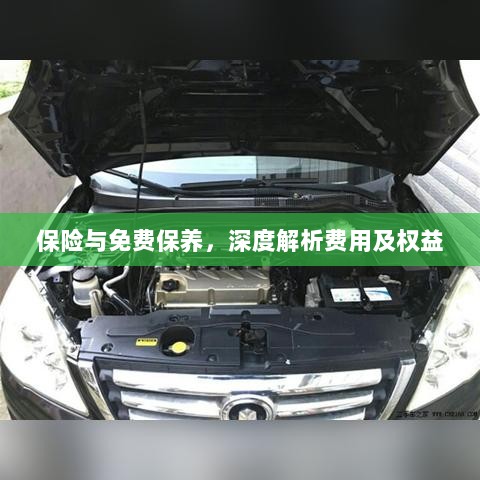保险与免费保养，费用与权益深度解析-图1