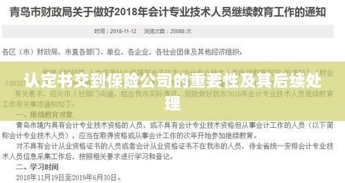 认定书交到保险公司的重要性及后续处理流程详解-图1 认定书交到保险公司的重要性及后续处理流程详解-图1