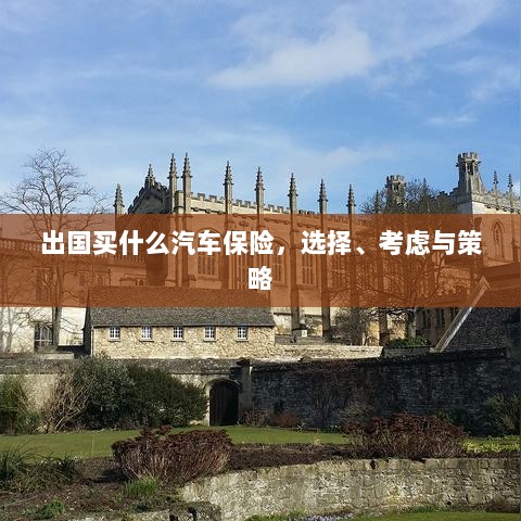 出国购车保险指南，选择、考虑与策略全解析-图1