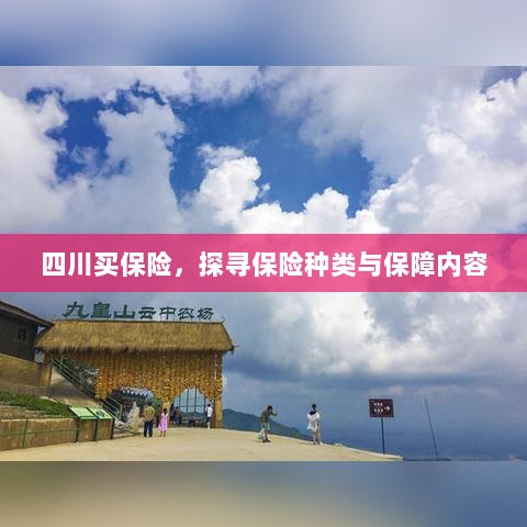 四川保险探秘,种类与保障内容全解析-图1 四川保险探秘,种类与保障内容全解析-图1
