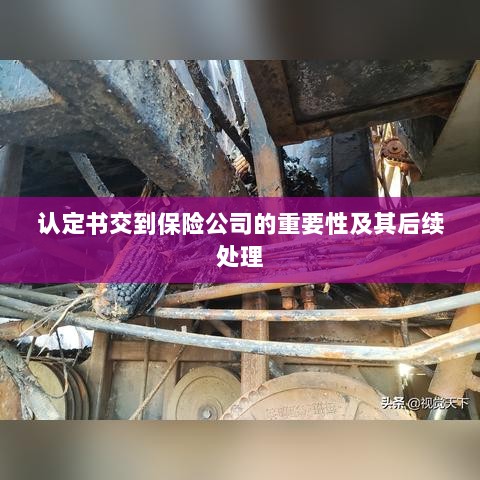 认定书交到保险公司的重要性及后续处理流程详解-图1
