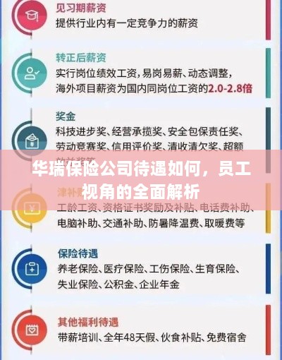 华瑞保险公司员工待遇全面解析，员工视角透视公司福利待遇-图1