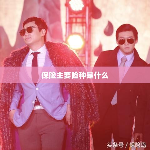 保险主要险种简介与概述-图1 保险主要险种简介与概述-图1