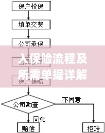 保险投保流程与所需单据全面解析-图1