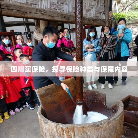 四川保险探秘，种类与保障内容全解析-图1