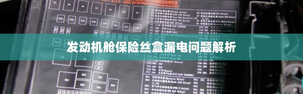 发动机舱保险丝盒漏电问题深度解析-图1 发动机舱保险丝盒漏电问题深度解析-图1