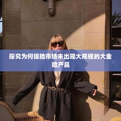 探究保险市场未出现大规模大金险产品的原因-图1