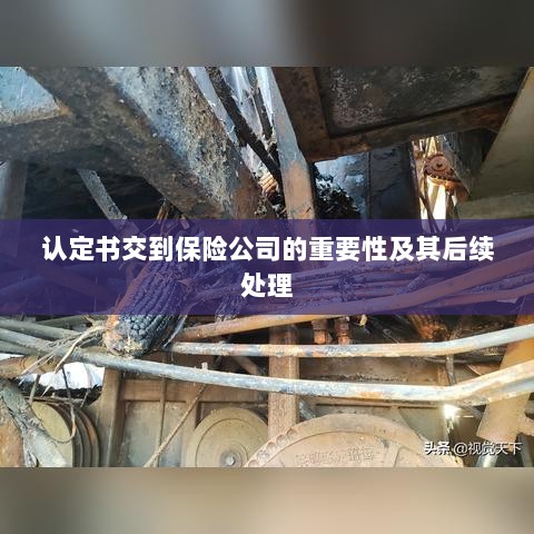 认定书交到保险公司的重要性及后续处理流程详解-图1 认定书交到保险公司的重要性及后续处理流程详解-图1