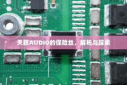 天籁AUDIO保险丝解析与探索-图1 天籁AUDIO保险丝解析与探索-图1
