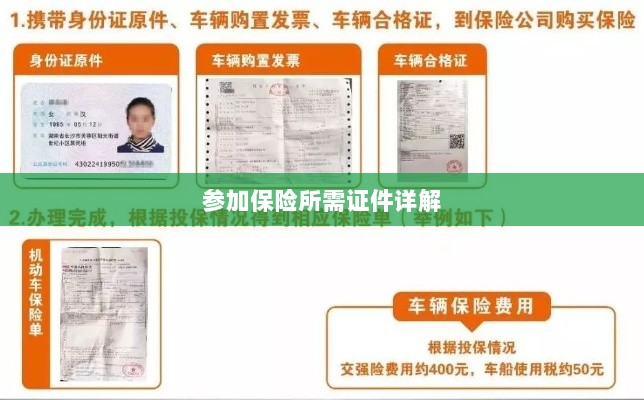 保险参保所需证件详解-图1 保险参保所需证件详解-图1
