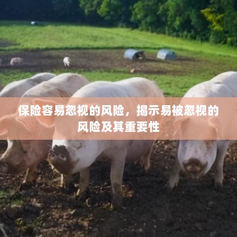 易被忽视的风险，保险领域中的风险揭示及其重要性-图1