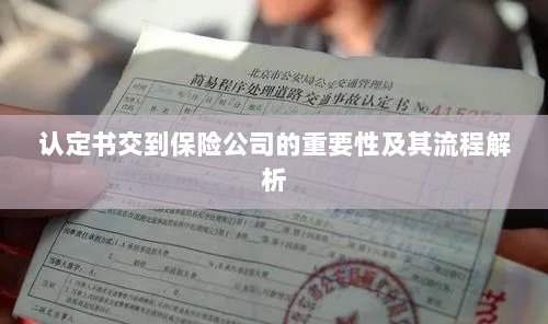 认定书交到保险公司的流程解析与重要性探讨-图1