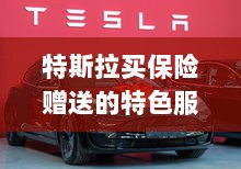 特斯拉保险特惠，独家特色服务与丰厚赠品等你来享-图1