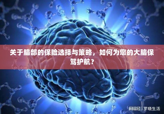 如何选择合适的脑部保险，为您的大脑保驾护航？-图1