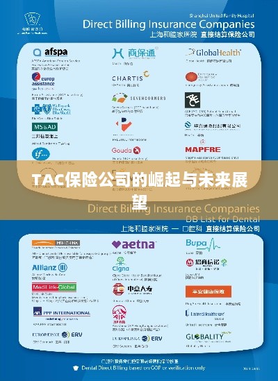 TAC保险公司的崛起及未来展望-图1