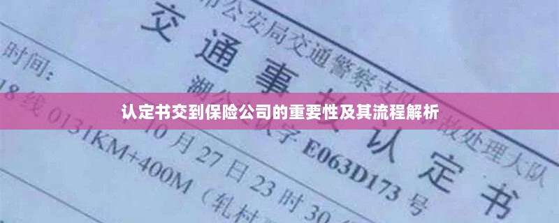 认定书交到保险公司的流程解析与重要性探讨-图1 认定书交到保险公司的流程解析与重要性探讨-图1