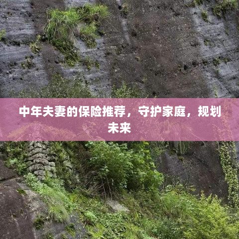 中年夫妻必备保障,守护家庭,规划未来的保险推荐-图1 中年夫妻必备保障,守护家庭,规划未来的保险推荐-图1