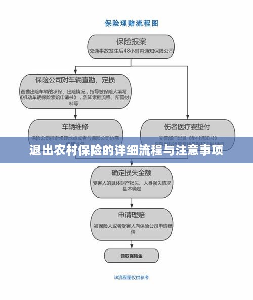 退出农村保险的详细流程与注意事项全解析-图1