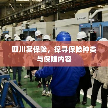 四川保险探秘,种类与保障内容全解析-图1 四川保险探秘,种类与保障内容全解析-图1