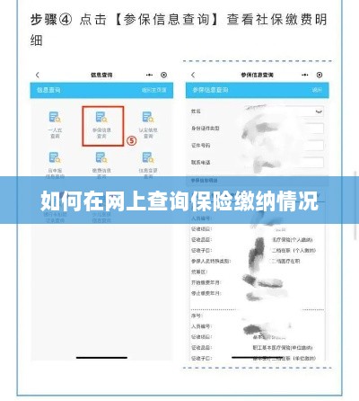 网上查询保险缴纳情况攻略-图1 网上查询保险缴纳情况攻略-图1