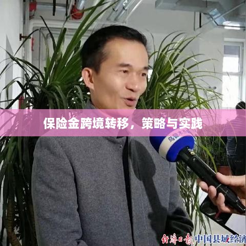 保险金跨境转移的策略与实践探讨-图1 保险金跨境转移的策略与实践探讨-图1