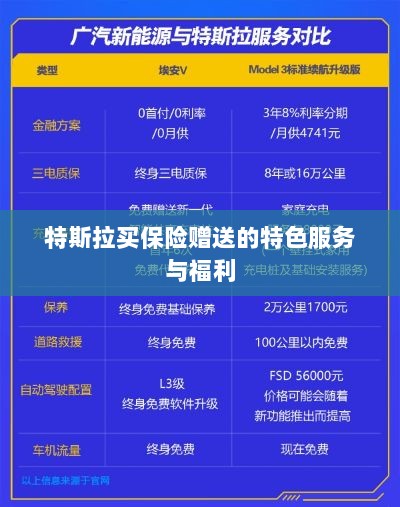 特斯拉保险特惠，独家特色服务与丰厚赠品等你来享-图1