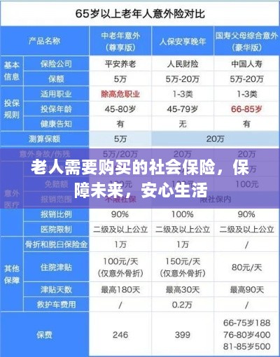 老人社会保险,保障未来,安心生活-图1 老人社会保险,保障未来,安心生活-图1