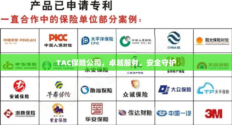 TAC保险公司,卓越服务,安心守护您的未来-图1 TAC保险公司,卓越服务,安心守护您的未来-图1