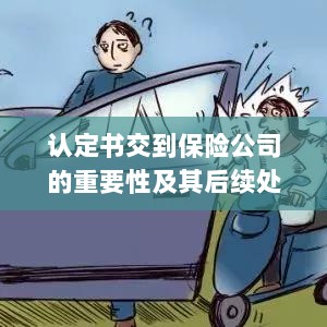 认定书对保险公司的重要性及后续处理流程详解-图1 认定书对保险公司的重要性及后续处理流程详解-图1