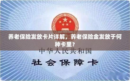 养老保险发放卡片详解,养老金发放至特定账户卡内!-图1 养老保险发放卡片详解,养老金发放至特定账户卡内!-图1