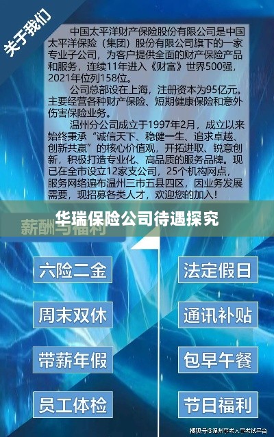 华瑞保险公司员工待遇深度解析-图1