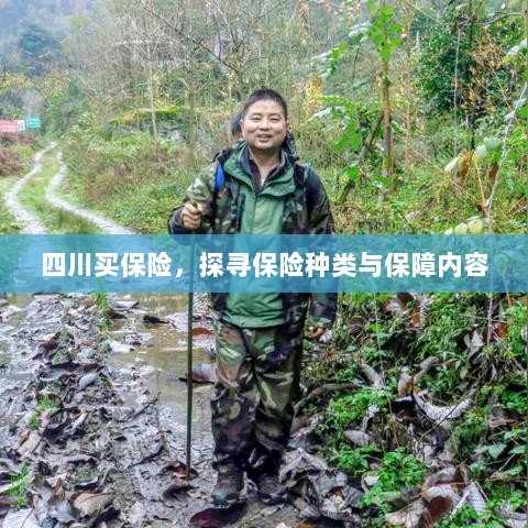 四川保险探秘,种类与保障内容全解析-图1 四川保险探秘,种类与保障内容全解析-图1