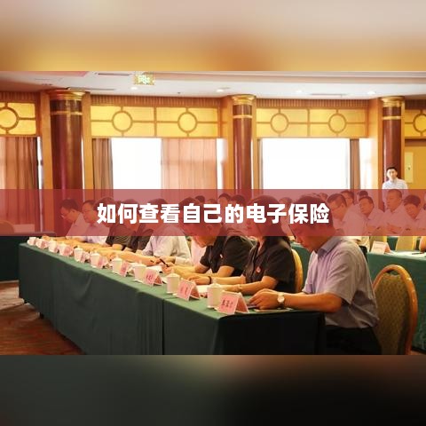 如何查看个人电子保险保单详情-图1 如何查看个人电子保险保单详情-图1