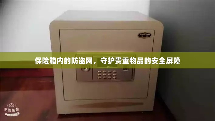 保险箱内防盗网,守护贵重物品的安全卫士-图1 保险箱内防盗网,守护贵重物品的安全卫士-图1