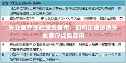 失业医疗保险缴费详解，如何正确缴纳费用指南-图1