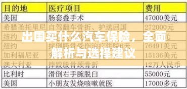 全面解析与选择建议,出国应购买哪些汽车保险?-图1 全面解析与选择建议,出国应购买哪些汽车保险?-图1